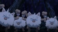 Primeape in the anime (Image via The Pokemon Company)